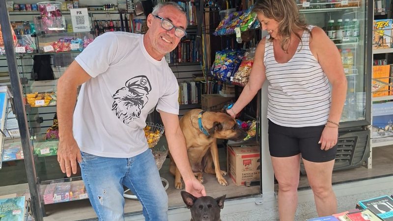 Cachorros dependem de ajuda de moradores de rua no centro de São Paulo - Marcel Naves/VIVA
