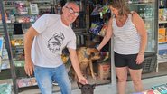 Comerciantes e moradores em situação de rua acolhem cachorros em São Paulo