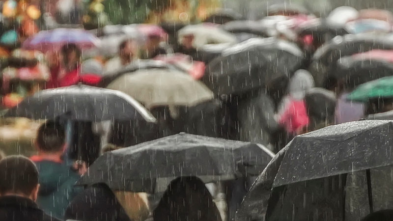 inflamações agudas no estômago e intestinos são as que mais ocorrem nos períodos de chuva - Adobe Stock