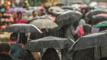 inflamações agudas no estômago e intestinos são as que mais ocorrem nos períodos de chuva - Adobe Stock