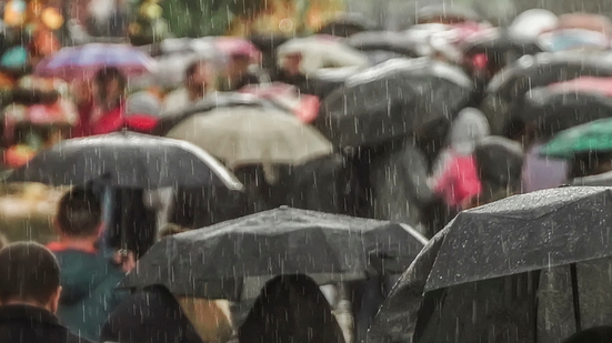 inflamações agudas no estômago e intestinos são as que mais ocorrem nos períodos de chuva - Adobe Stock