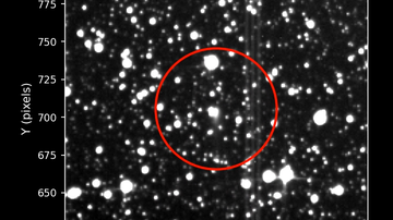 O objeto é terceiro visitante de fora do Sistema Solar já identificado - NASA/Daniel Muthukrishna, MIT
