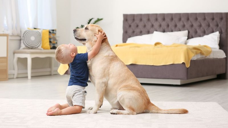 Muitas vezes, ferimentos exigem cirurgias de alta complexidade - Envato