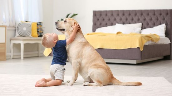 Muitas vezes, ferimentos exigem cirurgias de alta complexidade - Envato