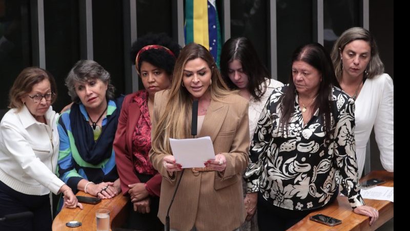 Substitutivo aprovado é da relatora Silvye Alves (foto), do União Brasil - Bruno Spada/Câmara dos Deputados