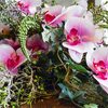 Rosas vermelhas e orquídeas estão entre as flores mais procuradas - Envato