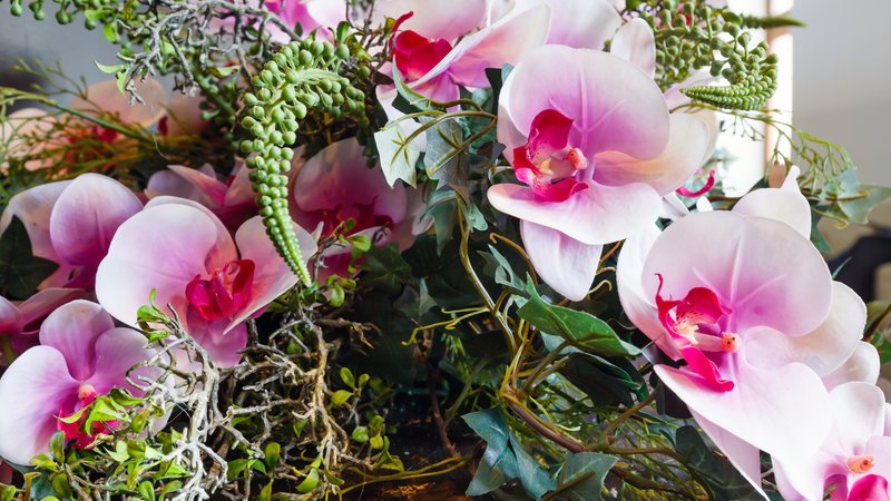 Rosas vermelhas e orquídeas estão entre as flores mais procuradas - Envato