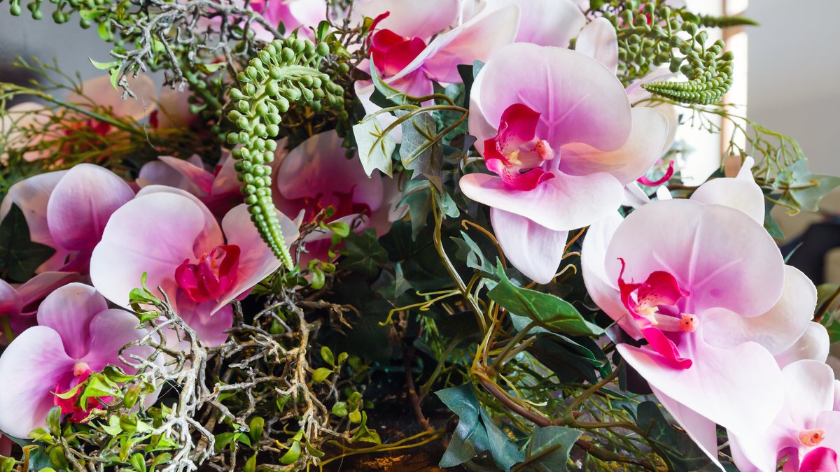 Rosas vermelhas e orquídeas estão entre as flores mais procuradas - Envato
