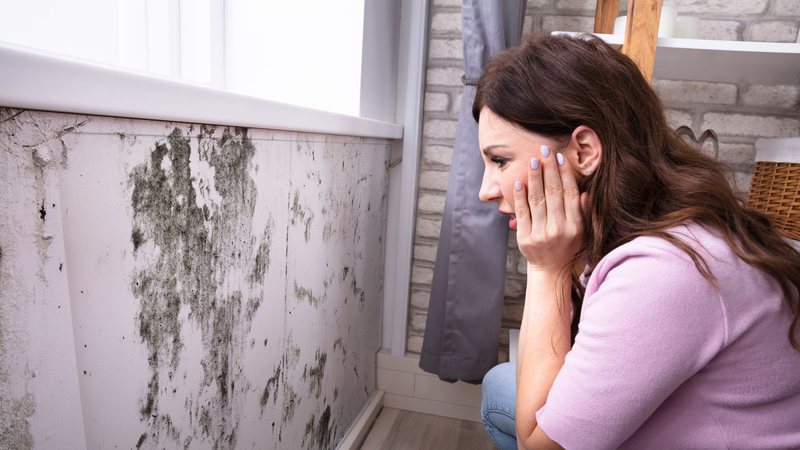 Com as fortes chuvas registradas no País nesta época do ano, o mofo se torna mais comum - Adobe Stock