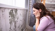 Com as fortes chuvas registradas no País nesta época do ano, o mofo se torna mais comum - Adobe Stock