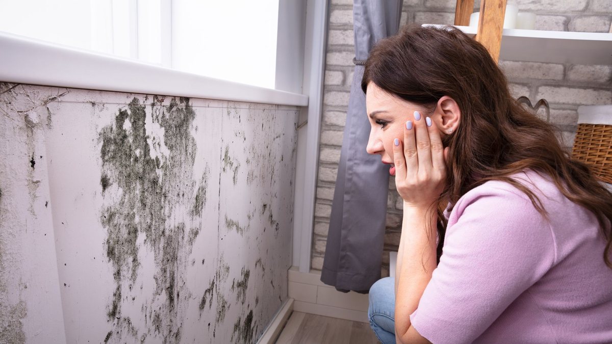 Com as fortes chuvas registradas no País nesta época do ano, o mofo se torna mais comum - Adobe Stock