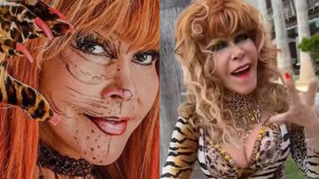 Judith Bustos acumula mais de 340 mil seguidores nas redes sociais - Reprodução / Instagram