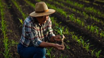 Garantia-Safra é um seguro voltado a agricultores familiares com renda de até 1,5 salário mínimo - Envato