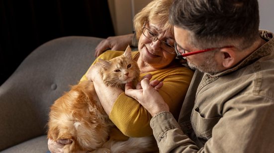 Projeto de lei permite a guarda compartilhada de animais de estimação em casos de separação - Freepik