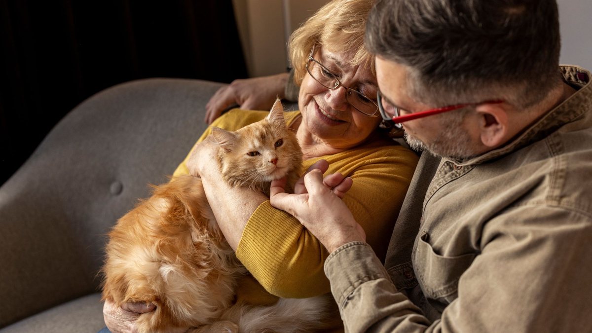 Projeto de lei permite a guarda compartilhada de animais de estimação em casos de separação - Freepik