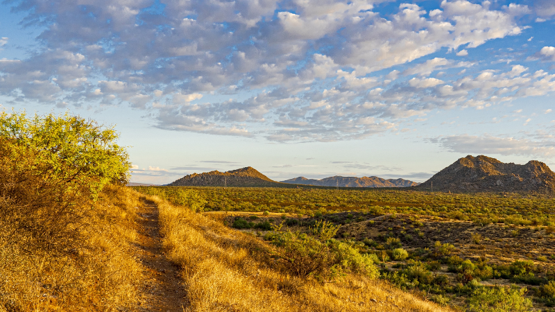 A ideia do livro surgiu após a professora ler e ver as poesias e fotos das alunas - Freepik