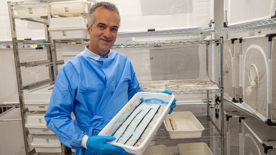 Luciano Moreira desenvolveu o método Wolbachia, que torna o Aedes aegypti incapaz de transmitir dengue, zika e chikungunya - Divulgação/Flavio Carvalho