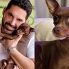 Kiko é o cachorrinho da família do cantor sertanejo Edson - Reprodução/Instagram