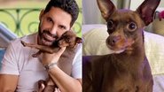 Kiko é o cachorrinho da família do cantor sertanejo Edson - Reprodução/Instagram