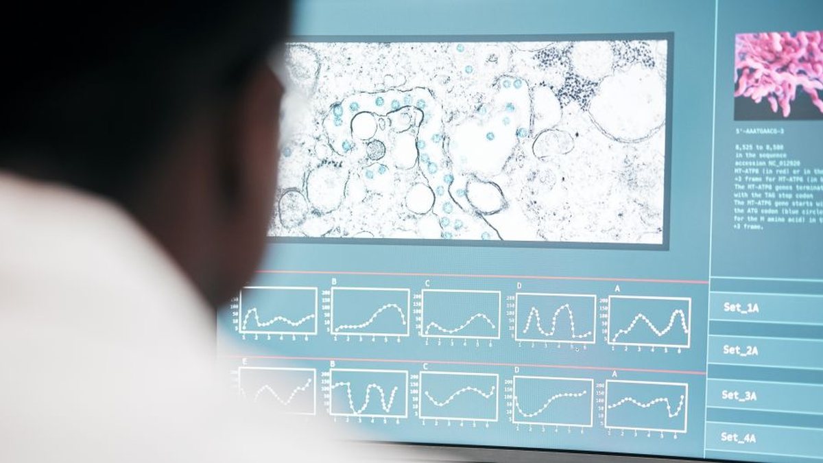 Venter desenvolveu a estratégia de sequenciar trechos de genes, em vez de todo o genoma - Envato