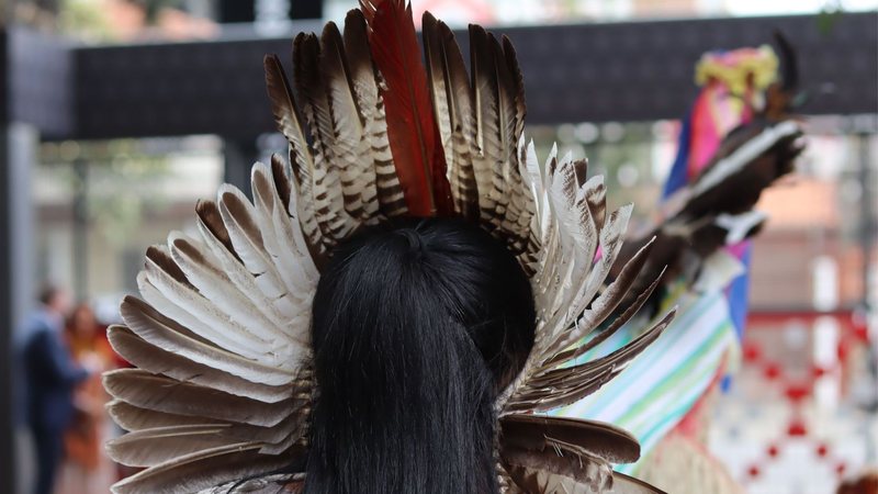 Abaixo-assinado destaca a necessidade de salvaguardar expressões ameaçadas - Museu das Culturas Indígenas