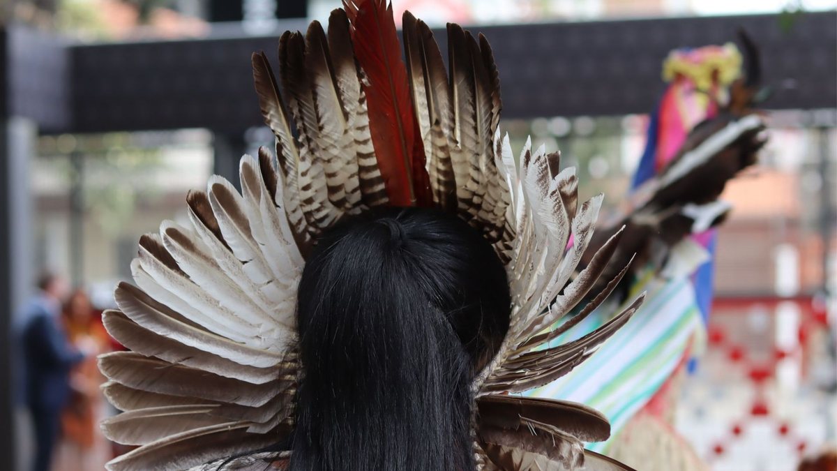 Abaixo-assinado destaca a necessidade de salvaguardar expressões ameaçadas - Museu das Culturas Indígenas