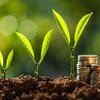 Entender seu perfil de investidor é fundamental para a tomada de decisões nesse momento de juro alto - Envato