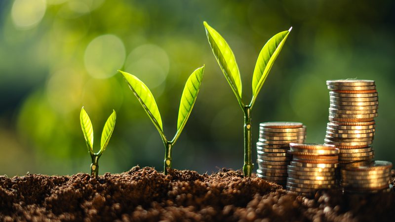 Entender seu perfil de investidor é fundamental para a tomada de decisões nesse momento de juro alto - Envato