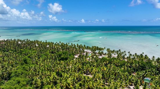 A praia de Maragogi é o destino mais buscado por turista estrangeiro - Divulgação