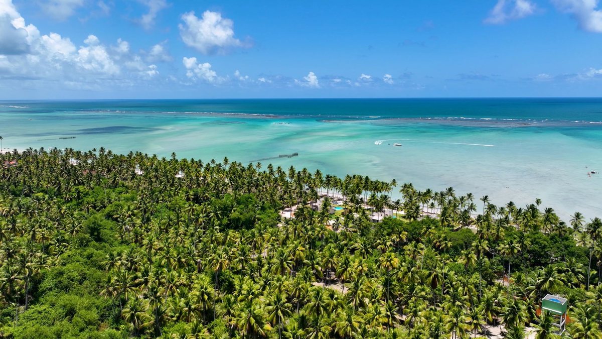 A praia de Maragogi é o destino mais buscado por turista estrangeiro - Divulgação