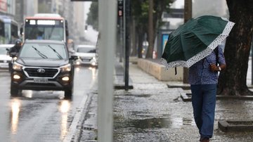 Na Grande São Paulo os índices de umidade permanecem acima dos 65% - Fernando Frazão/Agência Brasil