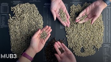 Museu da Bolsa terá programação especial pelo Dia Mundial do Café