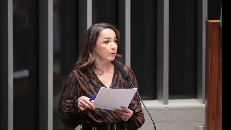 Professora Marivania (PCdoB-AP) foi relatora do substitutivo que foi aprovado - Bruno Spada / Câmara dos Deputados