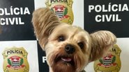 Cão foi resgatado sem ferimentos por policiais civis - Polícia Civil de São Paulo