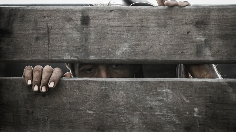 Nova lista de trabalho escravo soma 614 empregadores - Romulo Serpa/Ag. CNJ