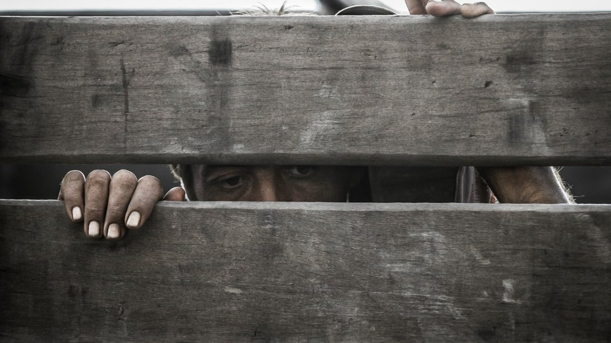 Nova lista de trabalho escravo soma 614 empregadores - Romulo Serpa/Ag. CNJ