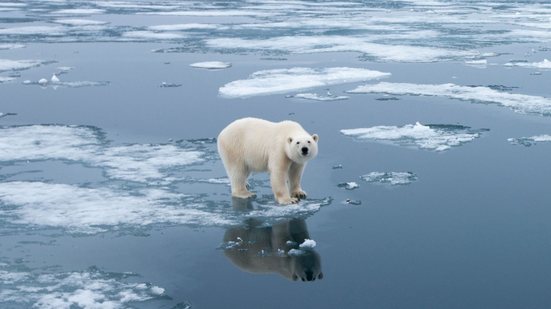 Geleiras do continente Europeu estão derretendo - Adobe Stock