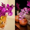 Para além do vaso, algumas ferramentas vão facilitar o trabalho de manuseio das flores - Reprodução / Instagram @luizafiorito