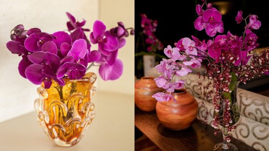 Para além do vaso, algumas ferramentas vão facilitar o trabalho de manuseio das flores - Reprodução / Instagram @luizafiorito