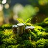 Programa busca destravar investimentos para projetos de sustentabilidade - Envato