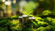 Programa busca destravar investimentos para projetos de sustentabilidade - Envato
