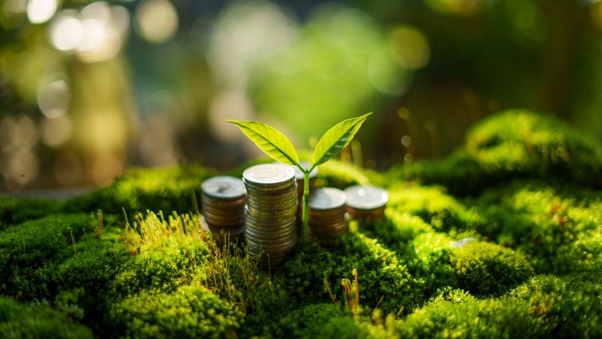 Programa busca destravar investimentos para projetos de sustentabilidade - Envato