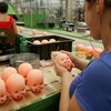 Linha de produção de bonecas da fábrica de brinquedos Estrela, em Itapira (SP), em 2007 - Ed Viggiani/Estadão Conteúdo
