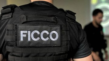 Força Integrada de Combate ao Crime Organizado da Polícia Federal é uma das ações para reforçar segurança pública - Divulgação SENAPPEN