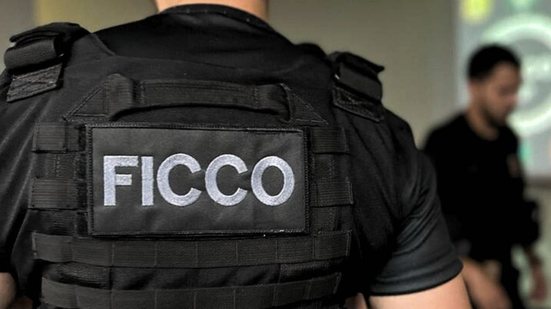 Força Integrada de Combate ao Crime Organizado da Polícia Federal é uma das ações para reforçar segurança pública - Divulgação SENAPPEN