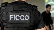 Força Integrada de Combate ao Crime Organizado da Polícia Federal é uma das ações para reforçar segurança pública - Divulgação SENAPPEN