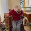 Margarida Helena Garabedian tem 72 anos e quer encontrar um lar para Luci e Felipe - Reprodução/Hyppet