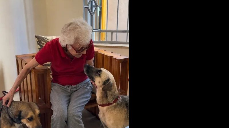 Margarida Helena Garabedian tem 72 anos e quer encontrar um lar para Luci e Felipe - Reprodução/Hyppet