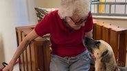 Margarida Helena Garabedian tem 72 anos e quer encontrar um lar para Luci e Felipe - Reprodução/Hyppet