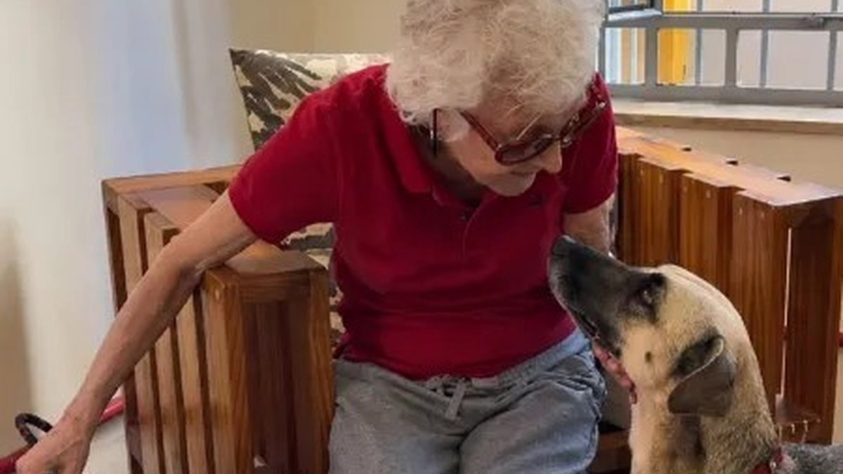 Margarida Helena Garabedian tem 72 anos e quer encontrar um lar para Luci e Felipe - Reprodução/Hyppet